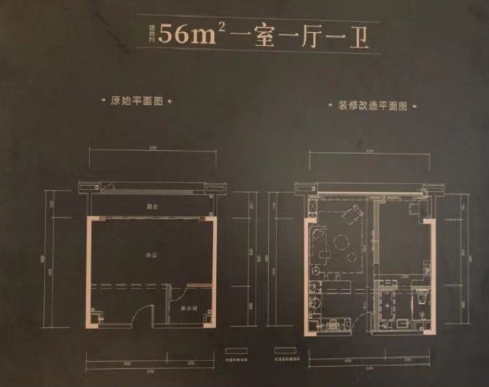 一室一厅一卫56.jpg