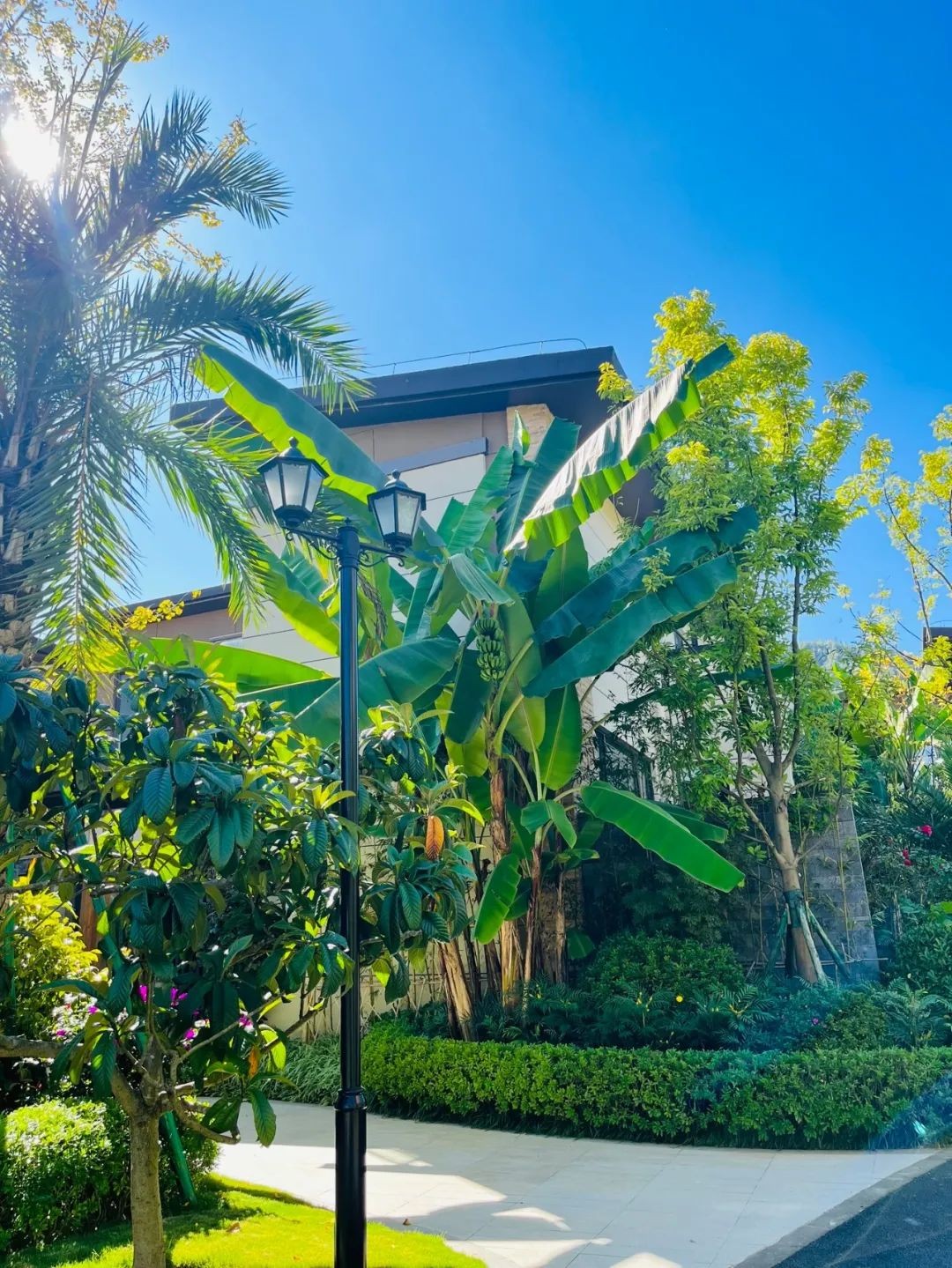 华侨城梦幻腾冲国际温泉度假小镇来腾冲开启美好旅居新生活