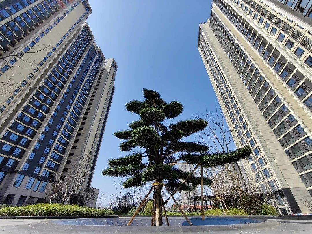 玺宇悦城国际,邀您共鉴优雅生活!-湘潭楼盘网