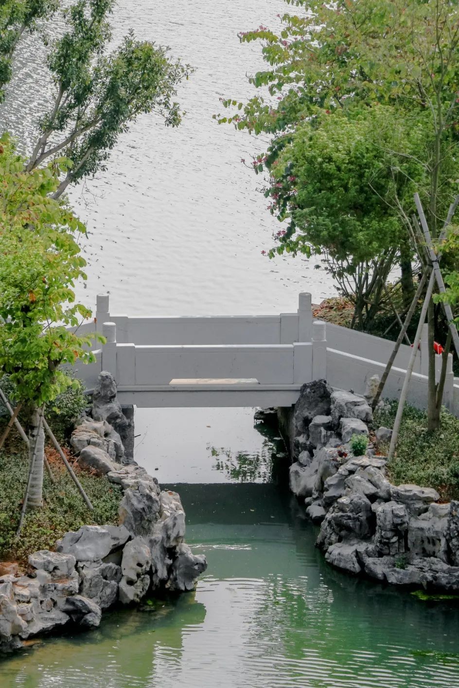 灵溪多了一所新公园!-苍南楼盘网