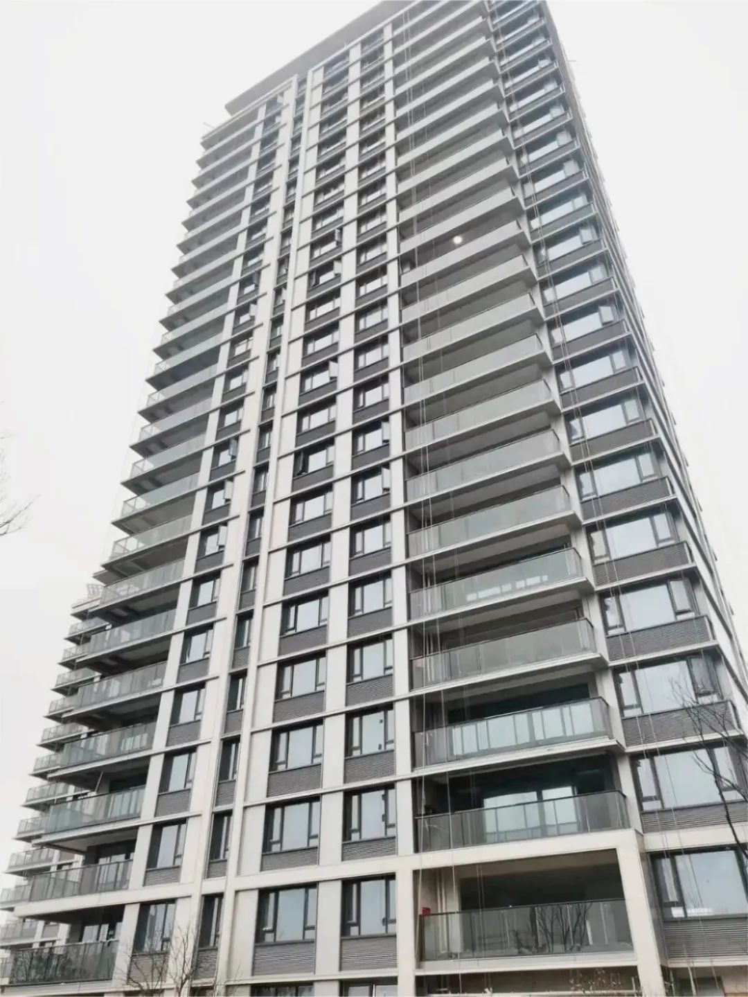 金茂鳌江府:精雕细琢 3月工程报来袭!-平阳楼盘网