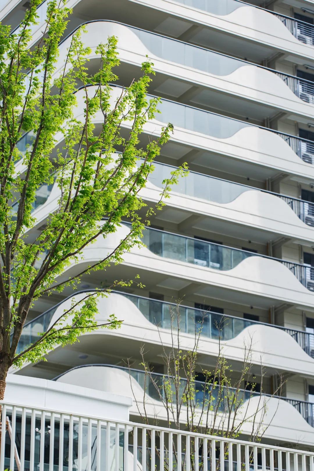 大家天阳云天美筑