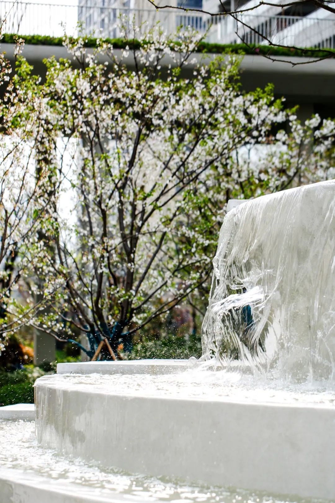 大家天阳云天美筑:预鉴美好未来!-龙港楼盘网