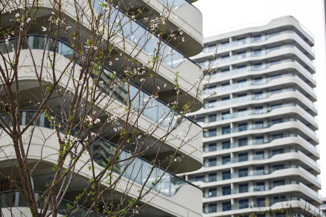 大家天阳云天美筑