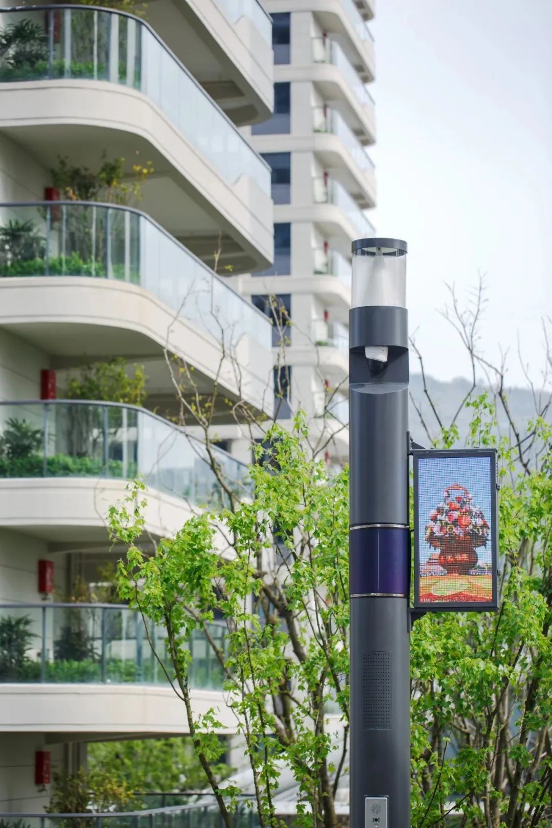 大家天阳云天美筑