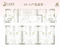 鲲鹏香溪湾全能小户型怎么样？零首付零月供，46-60㎡双气小户