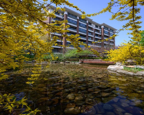 北戴河戴河庭院售楼处在哪-秦皇岛楼盘网