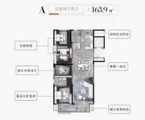 日广中心|天玺建面约163.9㎡全能户型