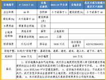 来凤县加油加气站用地3000万起拍！