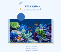 安居尚美云璟 | 水族鱼瓶微景观DIY奇趣来袭，带你探寻水底世界