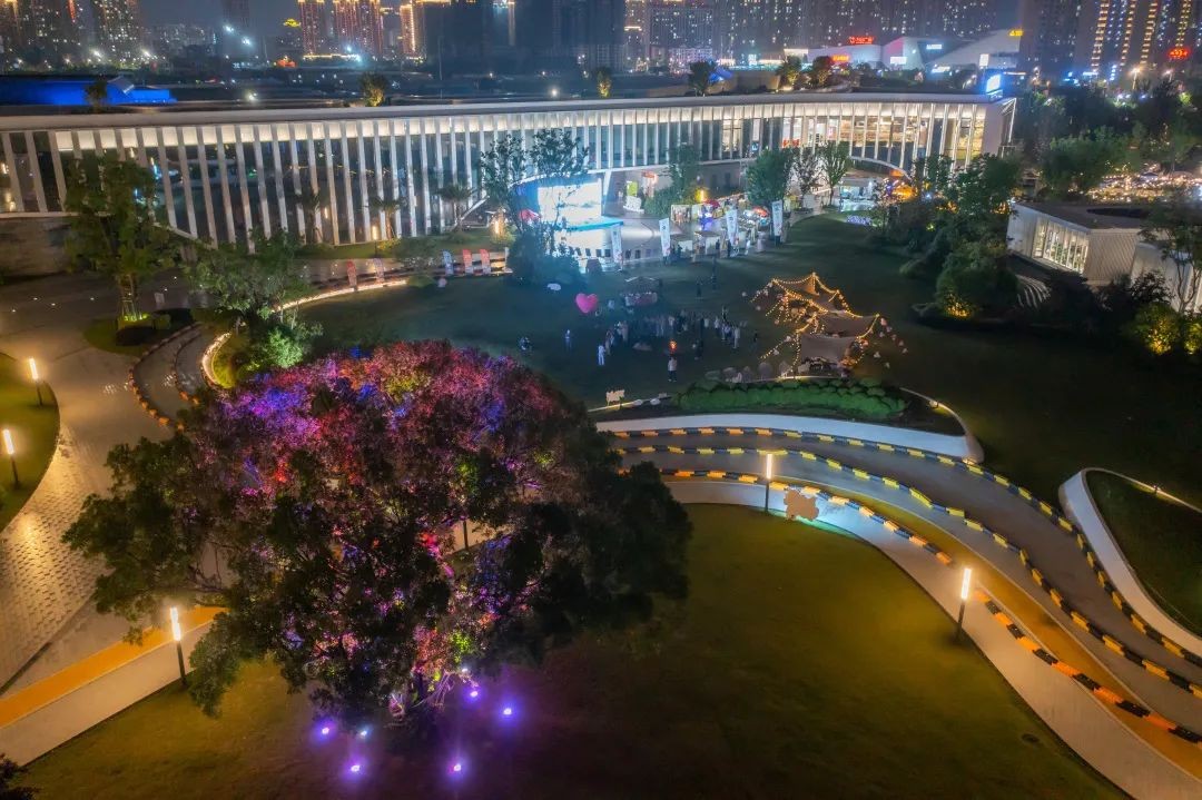 鳌江夜景图片