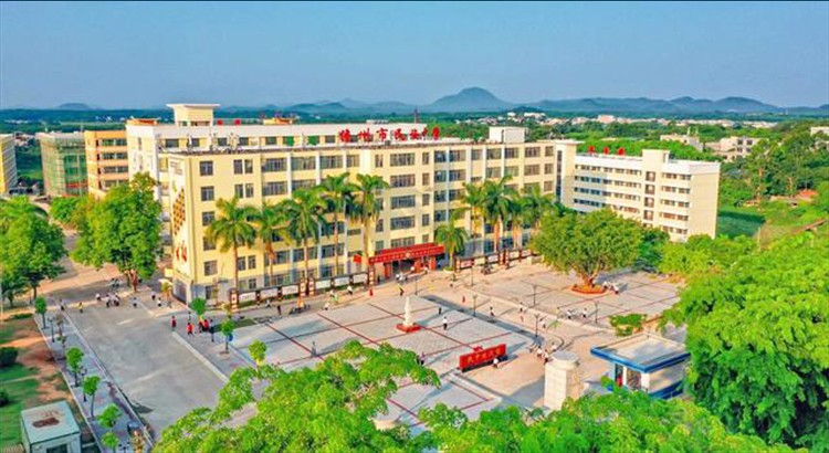 首先,那大第二小学,那大第三小学,那大中学,第二中学,第三中学,民族