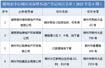 市中心城区新增可办证项目名单（2023年第6期）