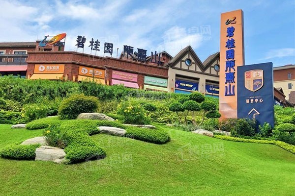 高要区南岸哪个楼盘值得买,碧桂园龙熹山怎么样?
