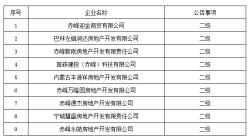 赤峰市住房和城乡建设局 关于核准2023年度第十批房地产开发企业资质行政审批事项的公告