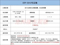 土拍重头戏！天成1.13亿拿下大运河板块20.2亩住宅用地