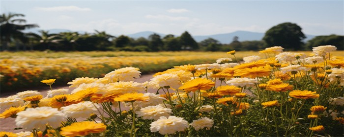 摄图网_600506010_清新田园风景（企业商用）.jpg