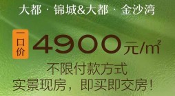 低房价北海新房，大都锦城现房清栋一口价4字头！