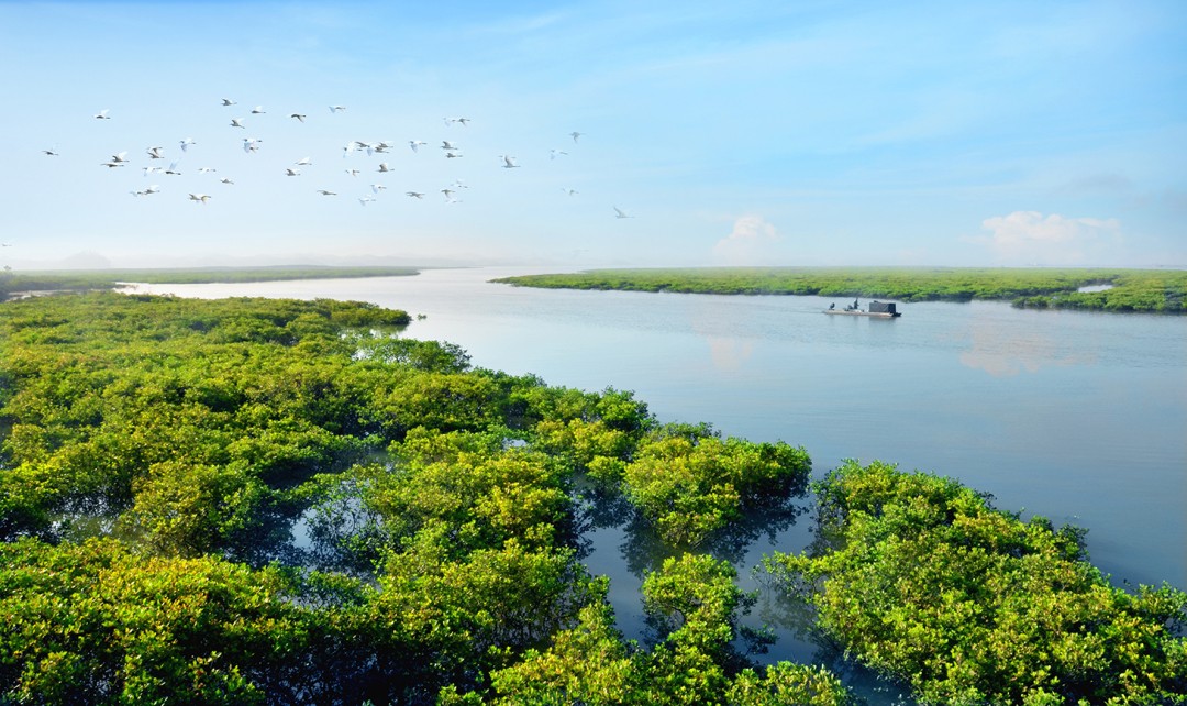 南中国海的静谧海景天堂:钦州康桥白鹭湾