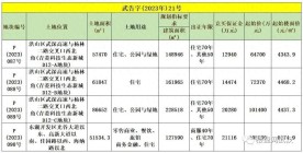 起始总价约34.4亿！武汉又有四宗优质地块挂牌！