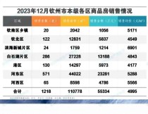 2023年12月钦州商品房销售数据