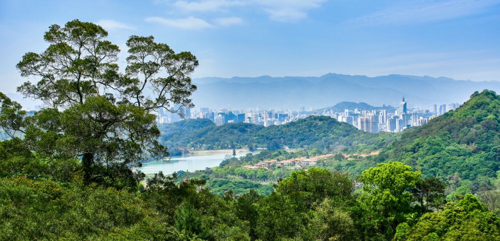 福州版纽约中央公园,登云湖居住环境如何?绿化好不好?