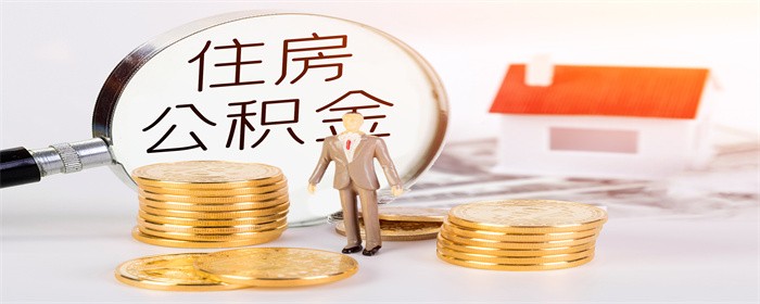 公司缴纳的公积金可以取出来吗