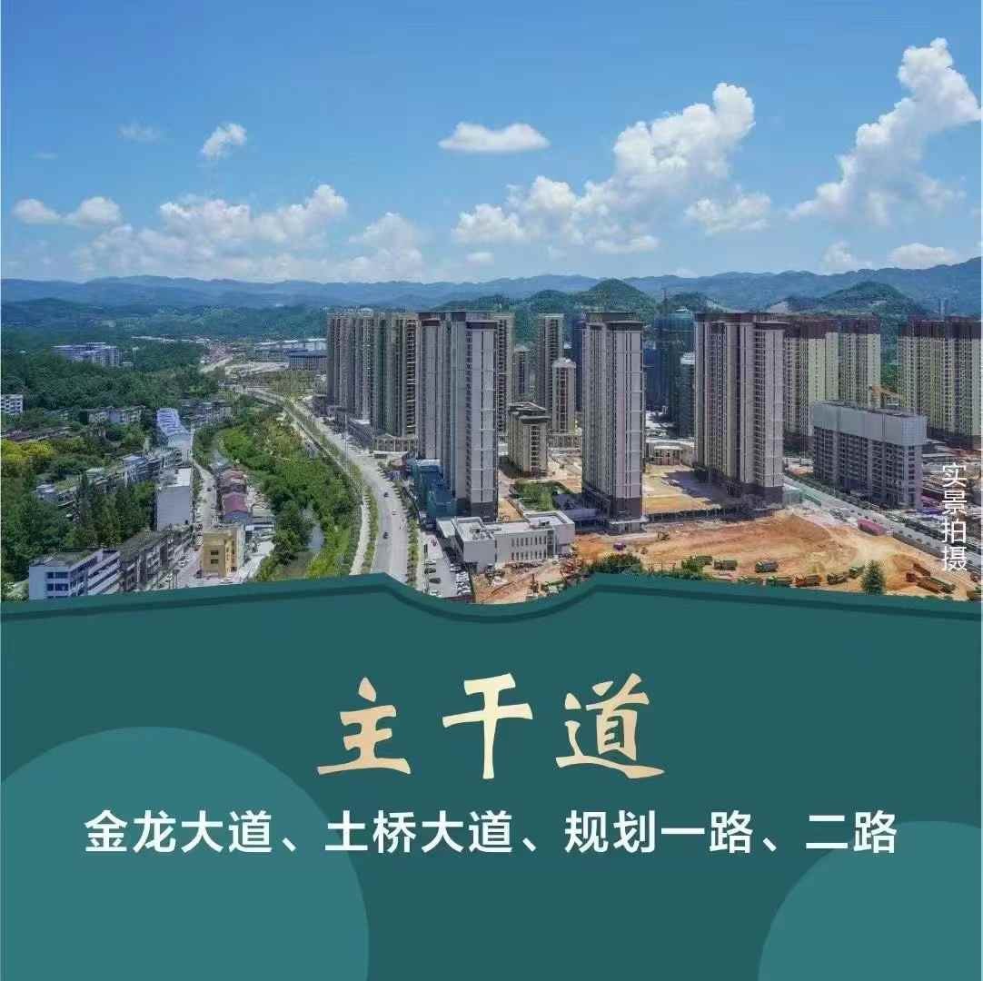 【武建中港城】土桥坝99