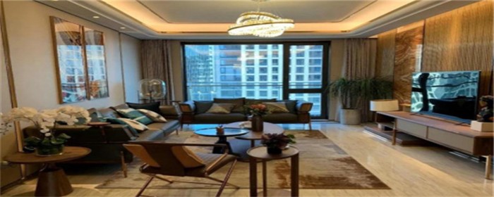 房贷打流水是打交易明细还是什么