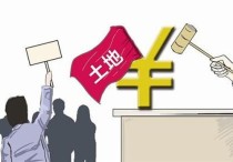 土地成交：颍东【2019】-45号地块以320万/亩成交！