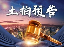 柳州市自然资源和规划局 国有建设用地使用权出让公告 柳土交告字〔2020〕65号