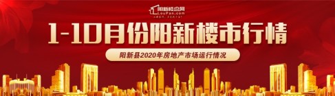 阳新县2020年1-10月房地产市场运行情况