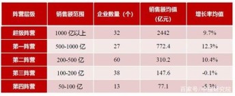 2020年1-11月中国房地产企业销售业绩TOP100