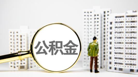 深圳公积金中心：异地购房申请仅限省内 其他范围暂停受理