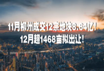 11月柳州成交12宗地块8.64亿！12月超1468亩拟出让！