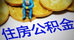 济南、淄博等7市住房公积金合作结盟！这些业务异地办理更快！​