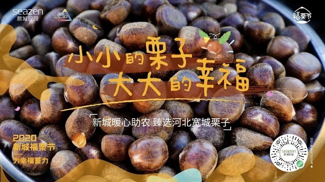 国际通信业中的“中国标准”