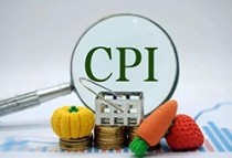 统计局：11月CPI环比、同比均下降 1-11月同比上涨2.7%