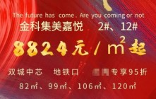 金科 ·集美嘉悦今日加推2号楼和12号楼 均价8824元/平起