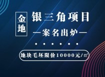 金地银三角项目案名出炉！地块毛坯限价10000元/㎡