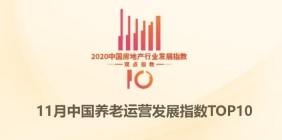 11月中国养老运营TOP10报告