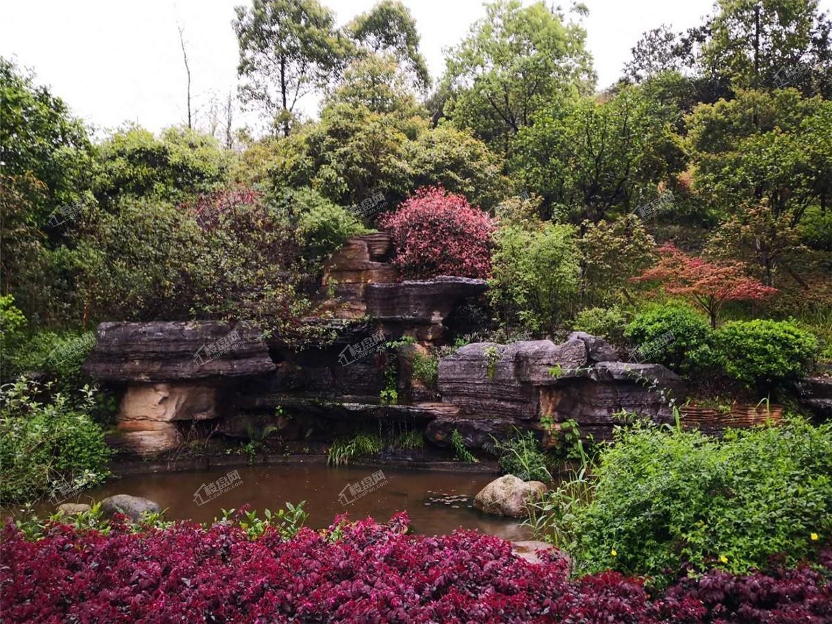 畔山花园|元旦限时特惠,10套一口价好房源