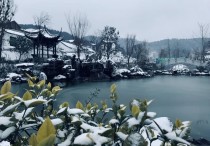 广元新房丨利州最偏远的山村，依山傍水风景秀丽，如世外桃源！