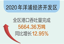 2020年洋浦完成集装箱吞吐量101.93万标准箱