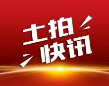 安陆市国有建设用地使用权拍卖出让公告安土拍[2020]11号