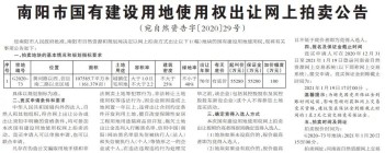 《2020-2021：南阳地产营销总监生存发展报告》