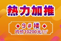 鸿海水岸之城好不好?9#楼加推中，均价10200元/㎡!