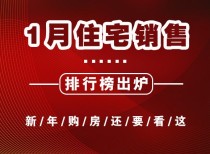 1月住宅销售排行榜出炉，新年购房还是要看这里