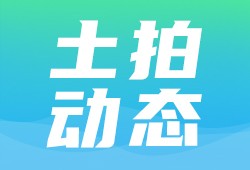 雅居乐获委托管理广东精文集团中山项目 为第3个代建项目