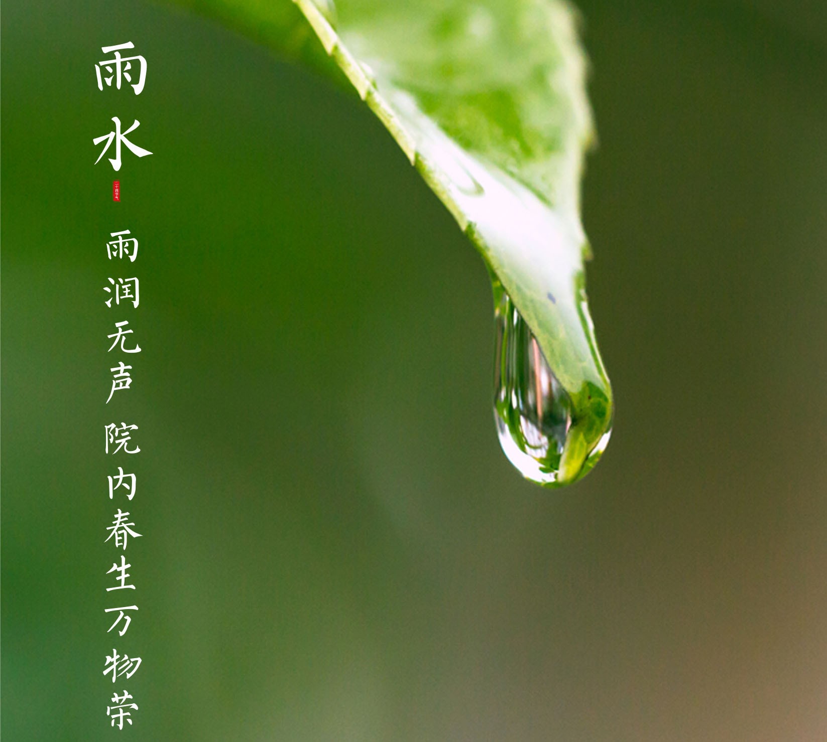 蓝城·桂林桃李春风丨雨润无声迎新春 院内萌生万物荣